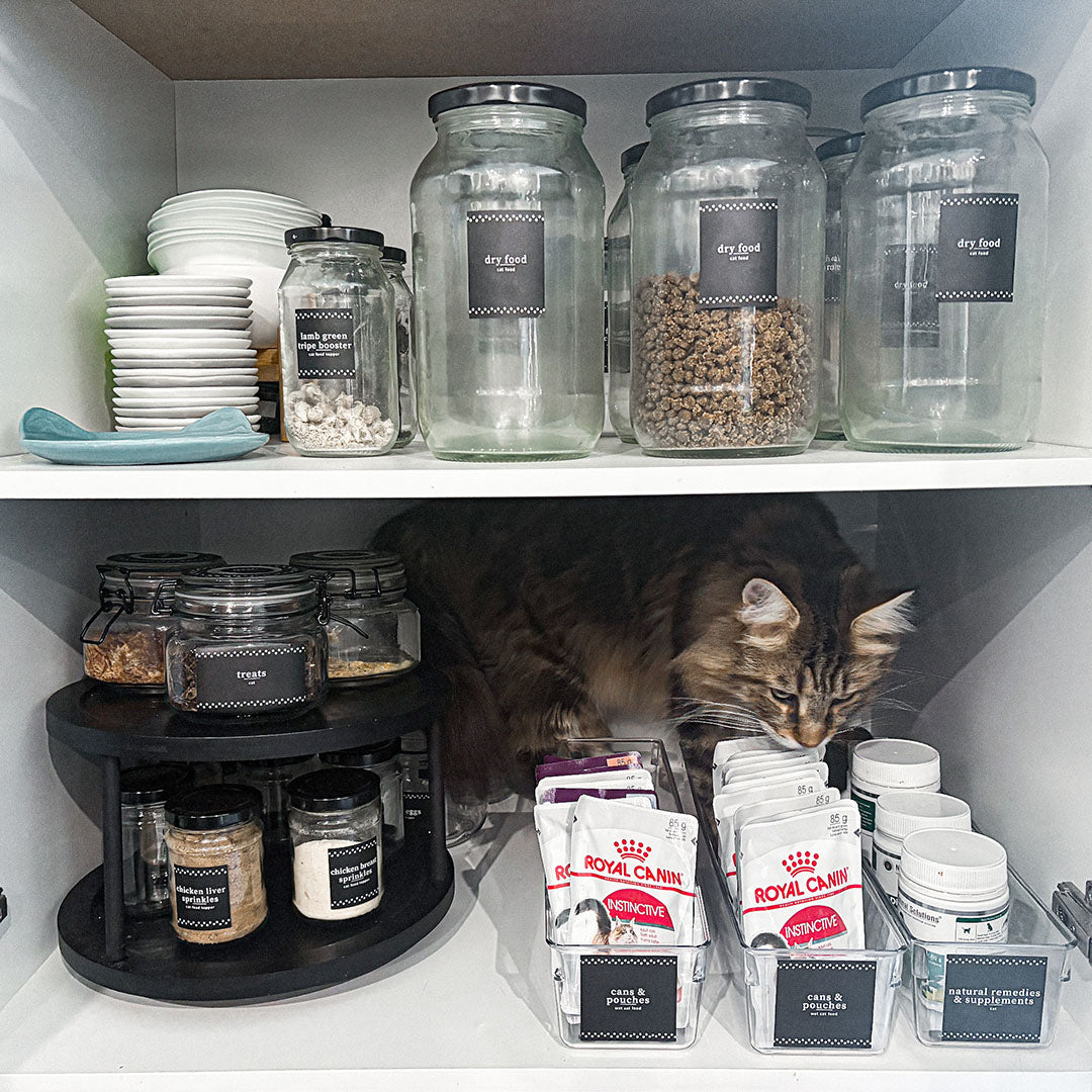 🐾 Why Pet Labels Are a Brilliant Idea for Every Pet Owner 🐾