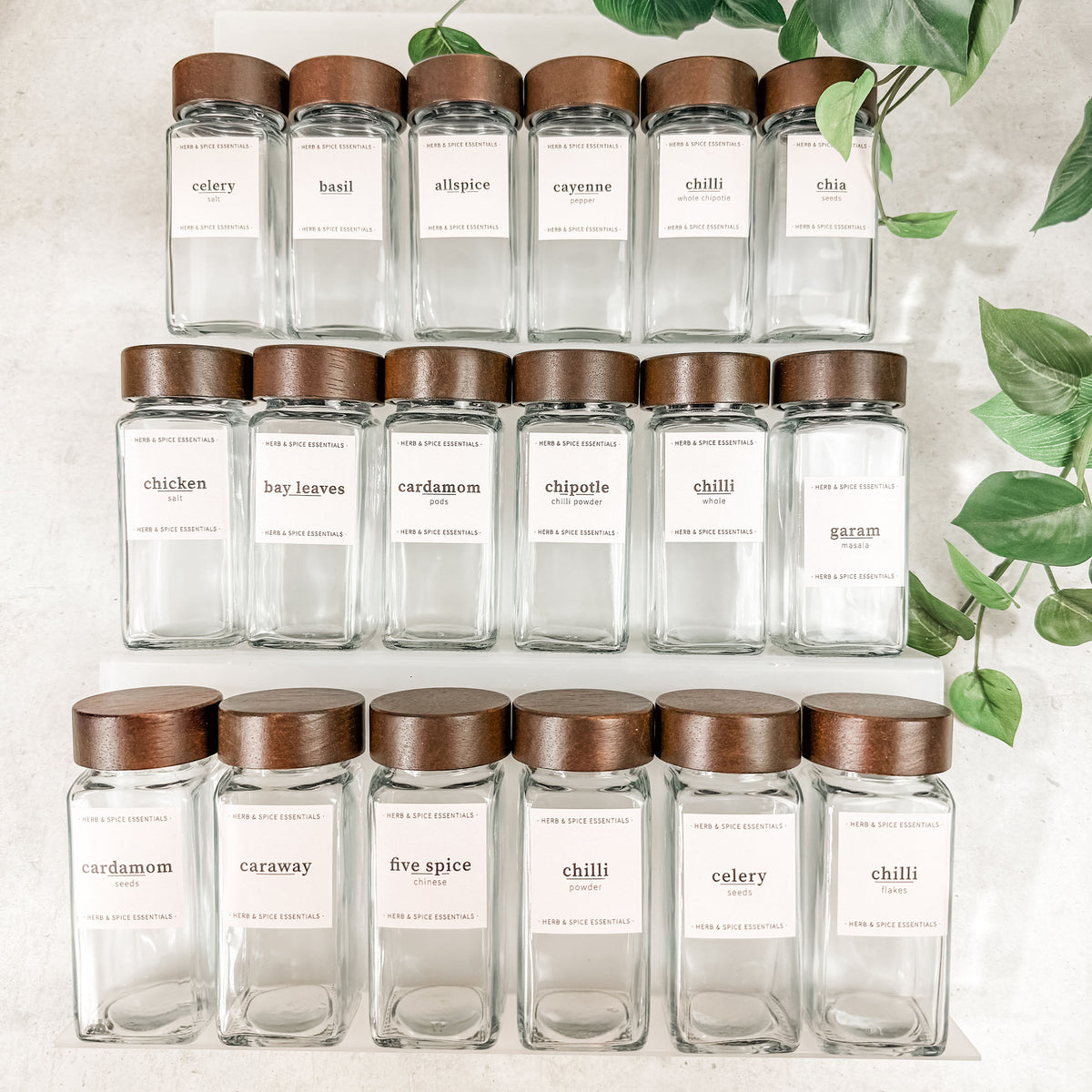 120ml Acacia Shaker Jar Drawer Bundle