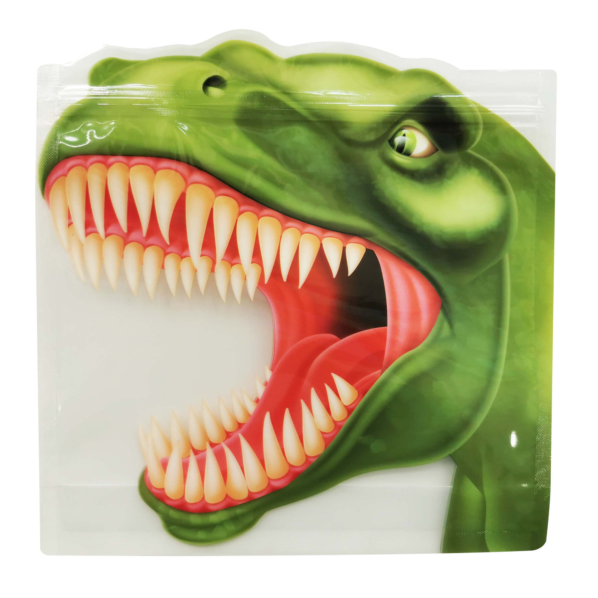 Reusable Zip Lock Bags - Dinosaurs